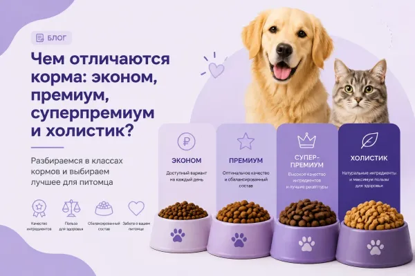 Чем отличаются корма эконом, премиум, супер-премиум и холистик? Чем отличаются корма эконом, премиум, супер-премиум и холистик?