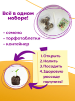 Клубника семена ремонтантная Земляника Фреска f1 + торфяные таблетки, 5шт, набор для выращивания