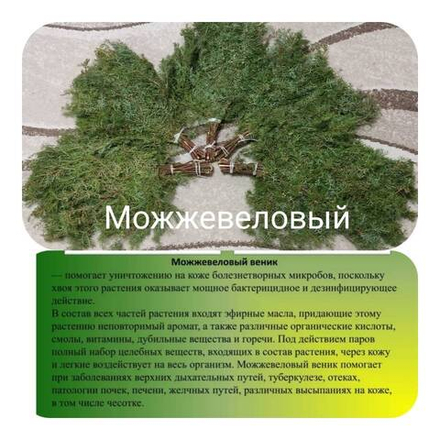 Веник Можжевеловый