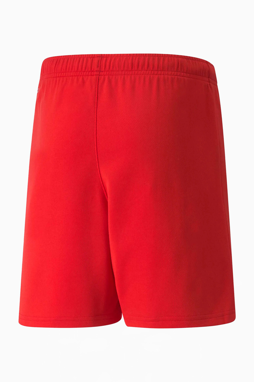 Шорты Puma teamRISE Junior