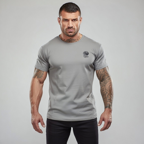 Футболка серая Yakuza Premium BL 204