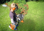 Мотокоса Stihl FS 40 AutoCut C 5-2