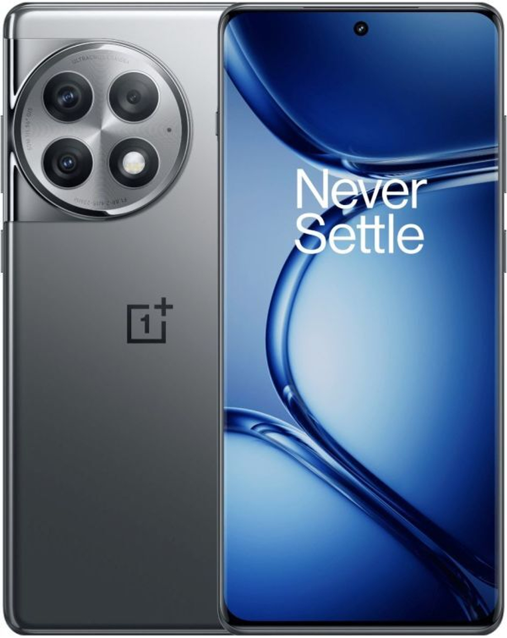 OnePlus Ace 2 Pro 24Gb/1Tb Gray