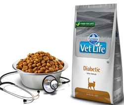 Сухой корм FARMINA Vet Life Diabetic Feline для взрослых кошек при сахарном диабете - 2 кг