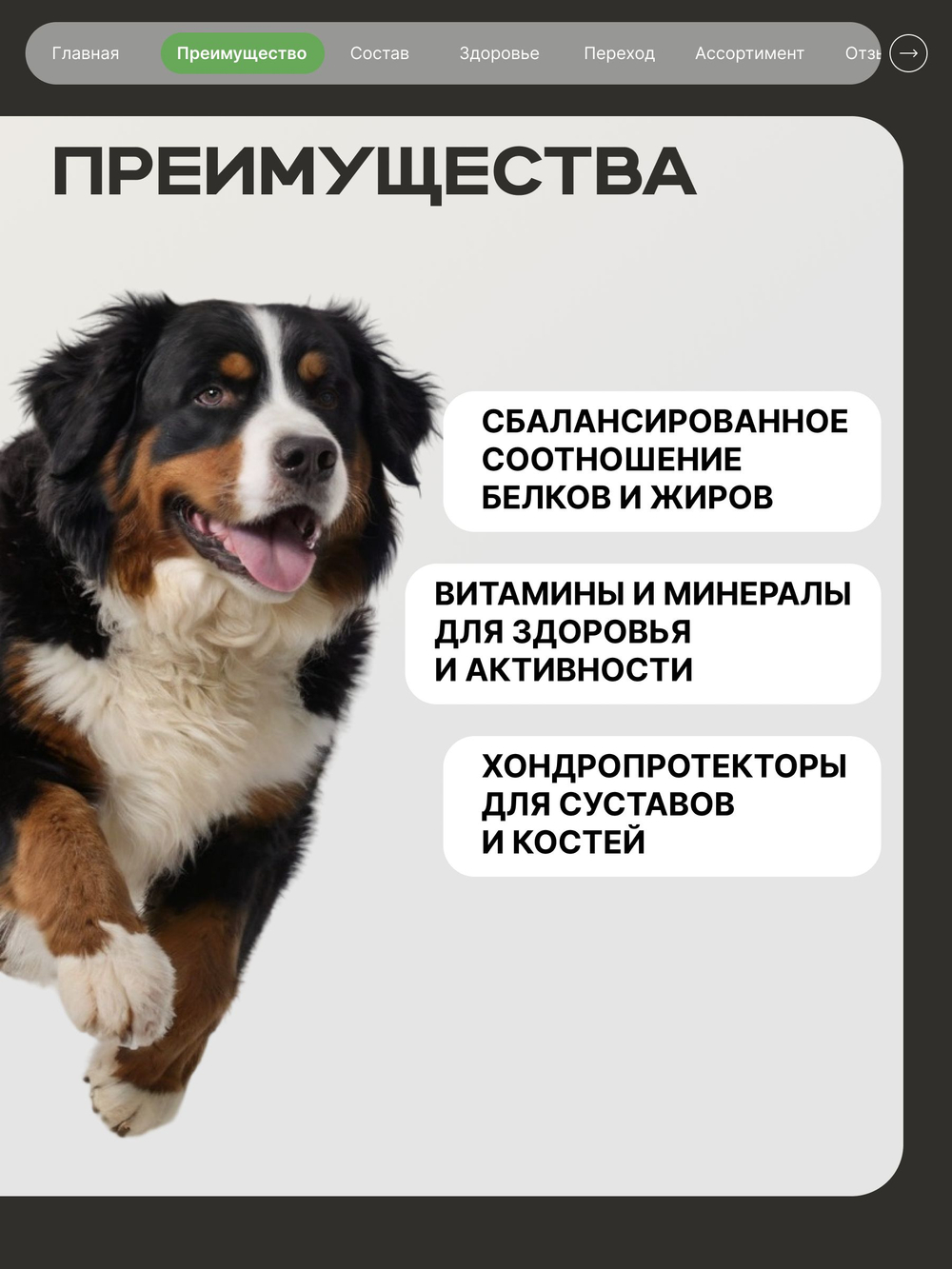 Корм сухой для собак очень крупных пород, премиум полнорационный комплекс, для живущих в сельской местности, с ягненком, 2,5 кг, QUATTRO