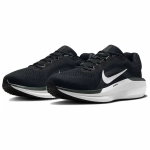 FJ9509-001 Кроссовки Nike Winflo 11