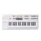 Arturia MiniFreak Vocoder White