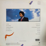 Chris de Burgh / Into The Light (LP)