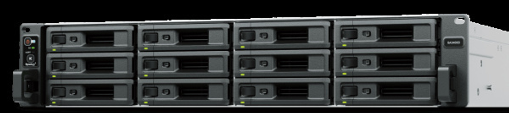 Сетевое хранилище Synology SA3400D