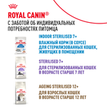 Royal Canin Indoor Sterilized 7+ Индор стерилайзд Корм влажный для стерилизованных кошек в возрасте от 7 до 12 лет живущих в помещении желе 85г