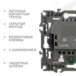 Розетка ЭРА Серия 12 12-4109-15 2P+E 16A-250В штор. с 2xUSB 5В-3А перламутр | Эра 12