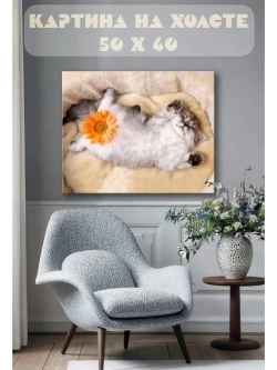 Картина на стену 40 X 50 Котик