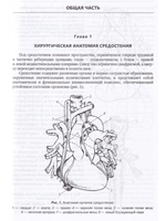 Хирургия средостения.Руководство для врачей