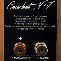 Напольная акустика Davis Acoustics Courbet 7