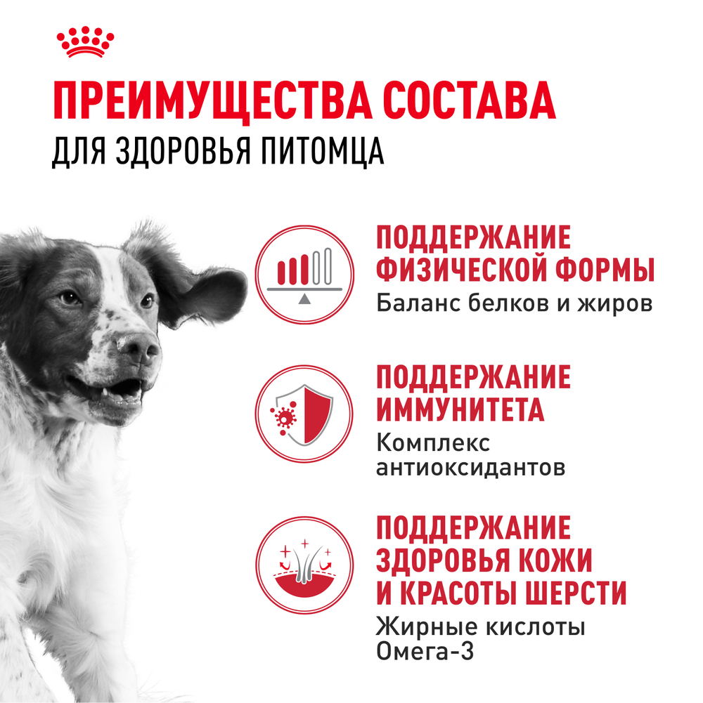 Сухой корм Royal Canin Medium Adult для взрослых собак средних размеров от 12 месяцев до 7 лет 15кг