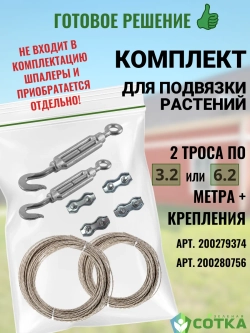 Промежуточная опора шпалеры для малины, ежевики и винограда