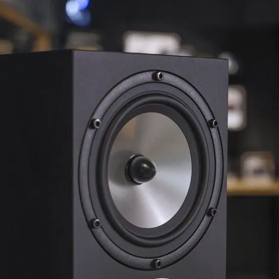 Amphion Two15 Black