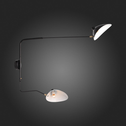 Светильник настенный ST Luce Spruzzo SL305.401.02