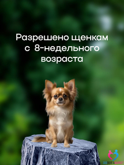 ВЕПРИПАК 1000 мг - таблетки от блох и клещей для собак крупных пород 20-40 кг,1 таблетка