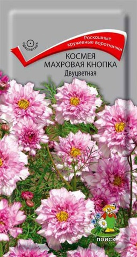 Космея Махровая кнопка Двуцветная 0,1гр Поиск