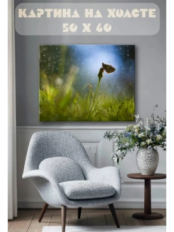 Картина на стену 40 X 50 Бабочка