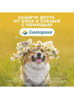 Симпарика, таблетки для собак весом от 10-20кг, 3 таб.