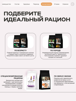 Корм сухой для котят породы Пекинская плоскомордая, с индейкой, 400 гр, QUATTRO