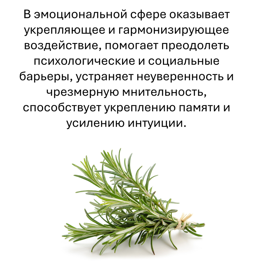 Розмарин, кубики восковые для ароматизации, 10 штук