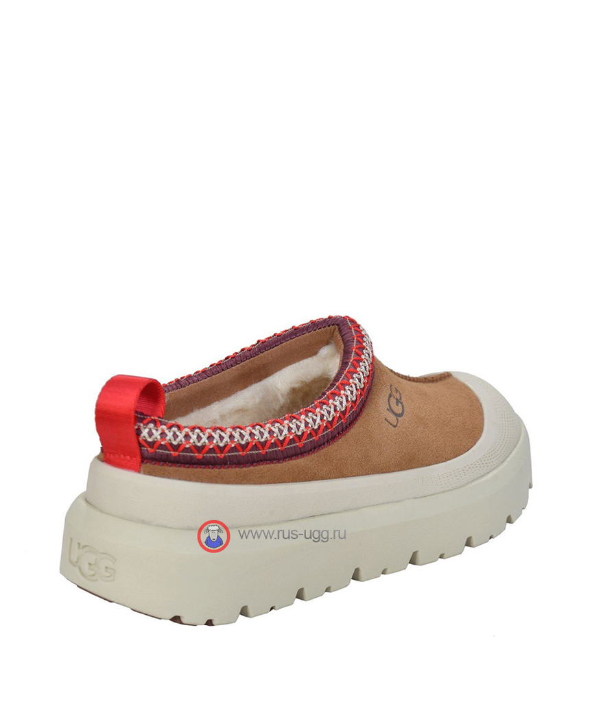 TAZZ HYBRID SLIPPER Chestnut