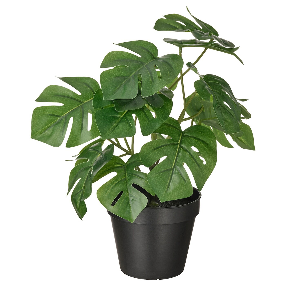 FEJKA Искусственное горшечное растение, комнатное/открытое Monstera, 12 см