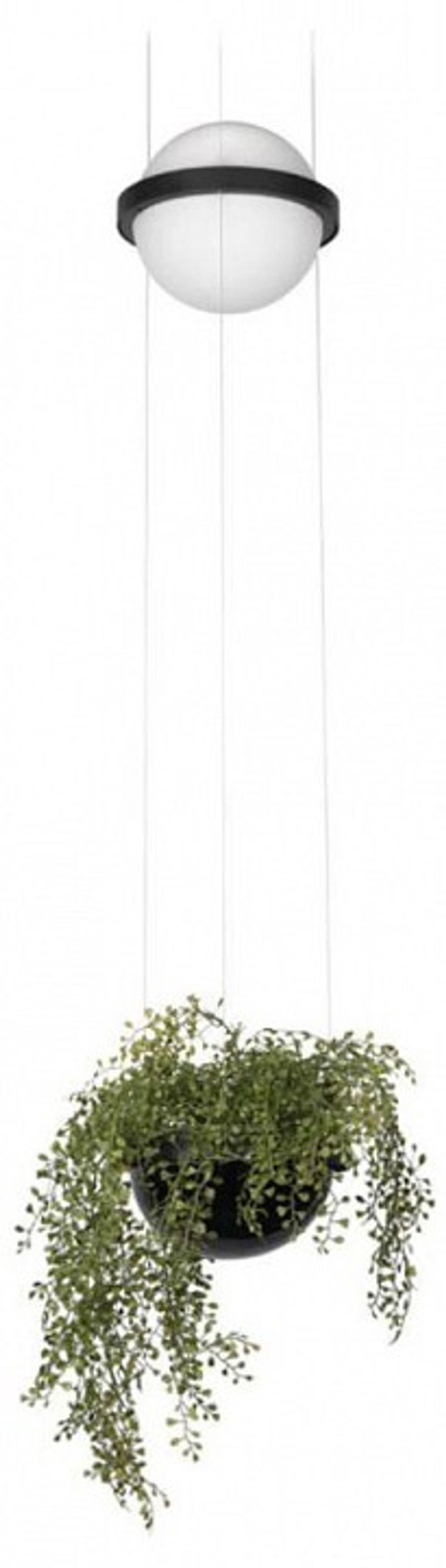 Подвесной светильник Loft it Jardin 10121/B