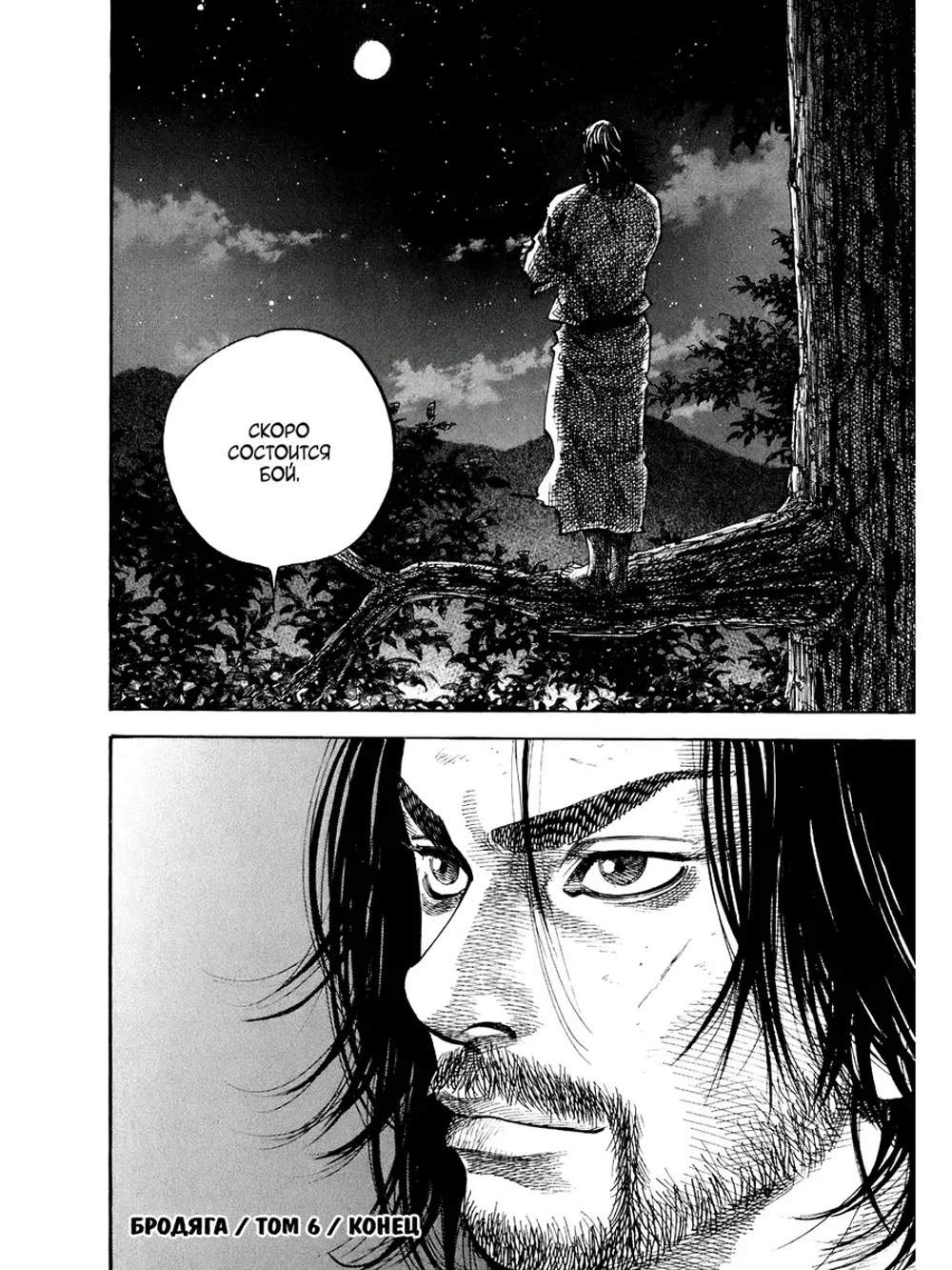 Бродяга. Vagabond. Том 6