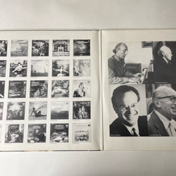 Винтажная виниловая пластинка LP Сборник Классической Музыки Fruhlingsrauschen Весенний Шум (Германия 1984)