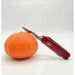 Нож-брелок Victorinox Classic SD Colors, 58 мм, 7 функций, "Style Icon"