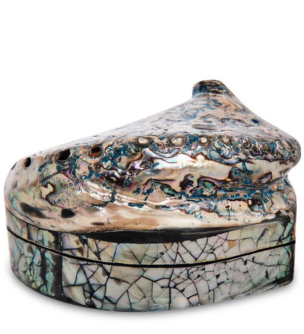 Decor and Gift 54-013-02 Декоративная шкатулка «Ракушка»