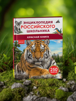 Красная книга. Энциклопедия российского школьника