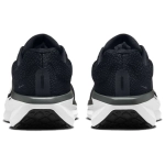 FJ9509-001 Кроссовки Nike Winflo 11