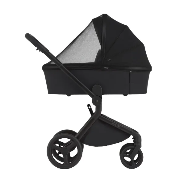 Коляска ANEX Flo 3 в 1 Lungo