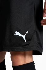 Шорты Puma teamGOAL - черный