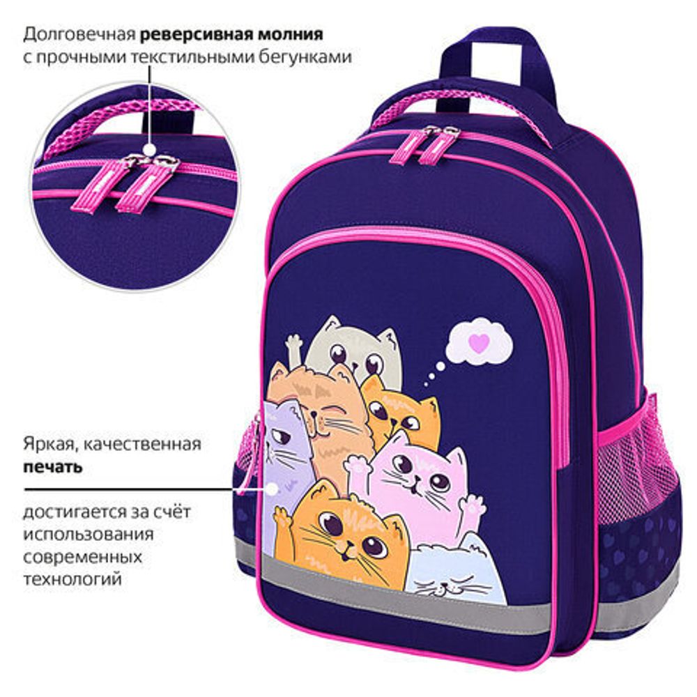 Рюкзак ПИФАГОР SCHOOL, 1 отделение, 3 кармана, "Cat greetings", 272087