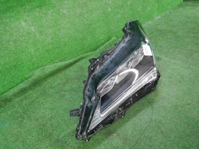 DSCN5304.JPG