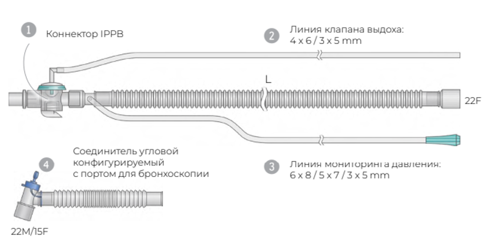 Контуры IPPB гофрированные взрослые, ø 22 мм (Наименование: Для Legend Air®, Длина контура, L: 160 см, Упаковка (инд./тр.): 1/40)