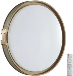 Настенно-потолочный светильник Favemo Grey 7654/EL Sonex