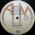 Peter Frampton / Frampton Comes Alive! (2LP)