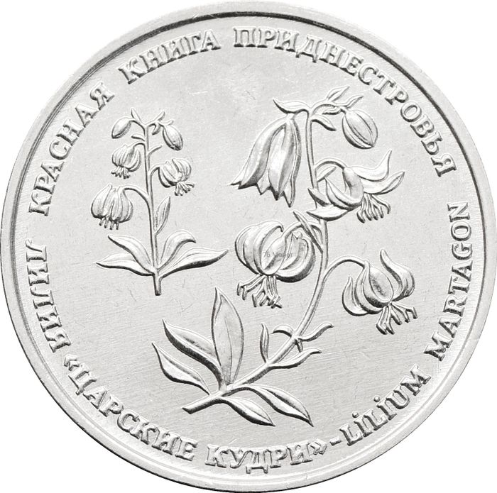 1 рубль 2019 Приднестровье «Лилия - Царские кудри»