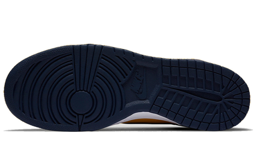 Nike Dunk High Michigan 2020
