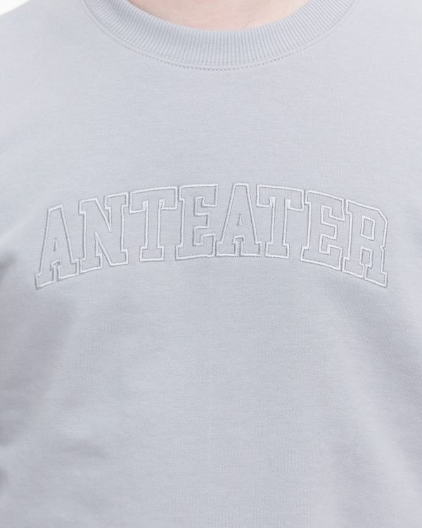 Толстовка Crewneck BigText серая - фото 9