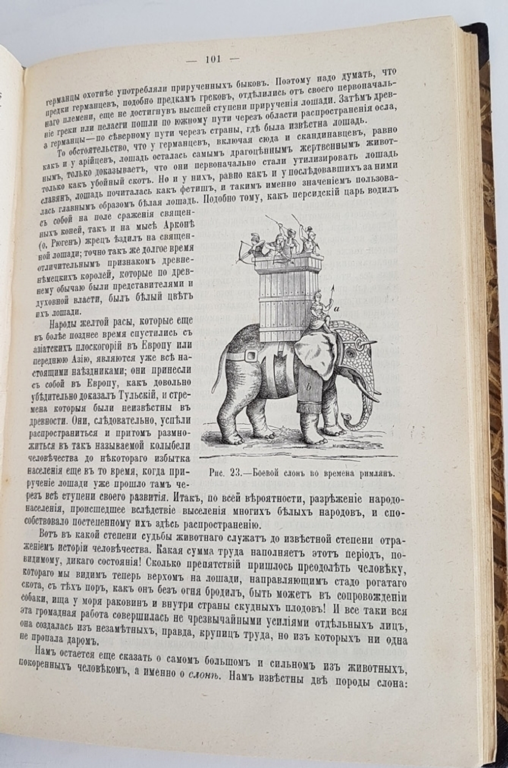 "История культуры". Ю.Липперт. 1907г. - антикварное издание