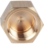 Заглушка с внутренней резьбой STOUT SFT 0026 - 1/4" (для стальных труб, латунь без покрытия)