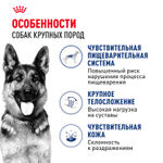 Корм сухой Royal Canin Maxi Adult для взрослых собак крупных размеров от 15 месяцев до 5 лет 15кг